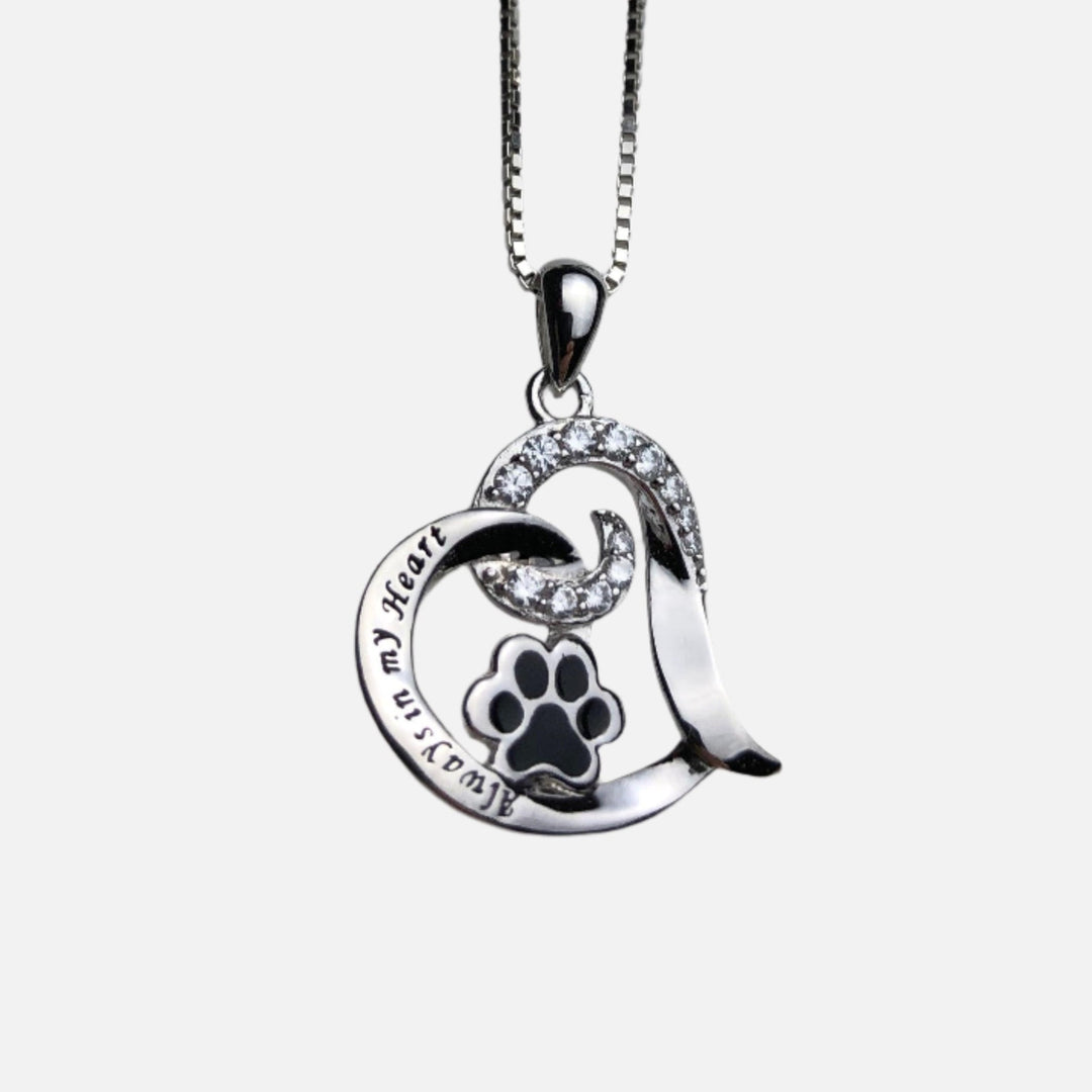 Elegante collar conmemorativo para perros – Acero inoxidable