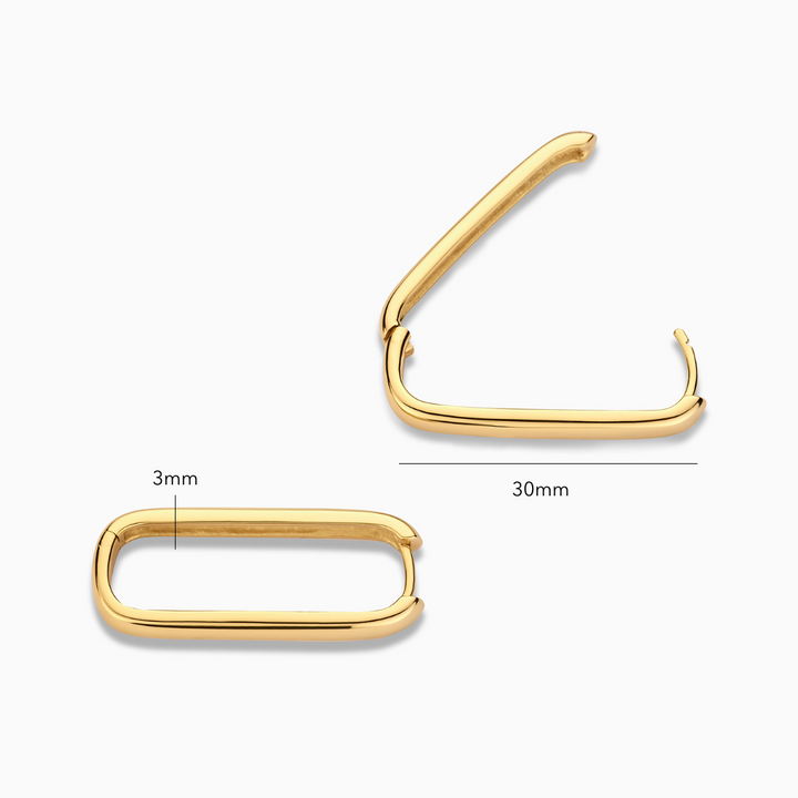 Pendientes Argolla Ícono | Oro